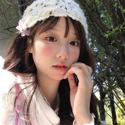 不进花瓶的洋甘菊